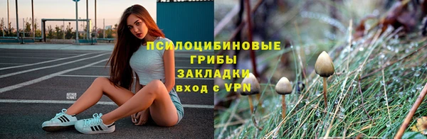 тгк Абдулино
